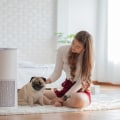 Boost Your HVAC System’s Longevity with the 14x30x1 Air Filter: Essential for Better Air Quality